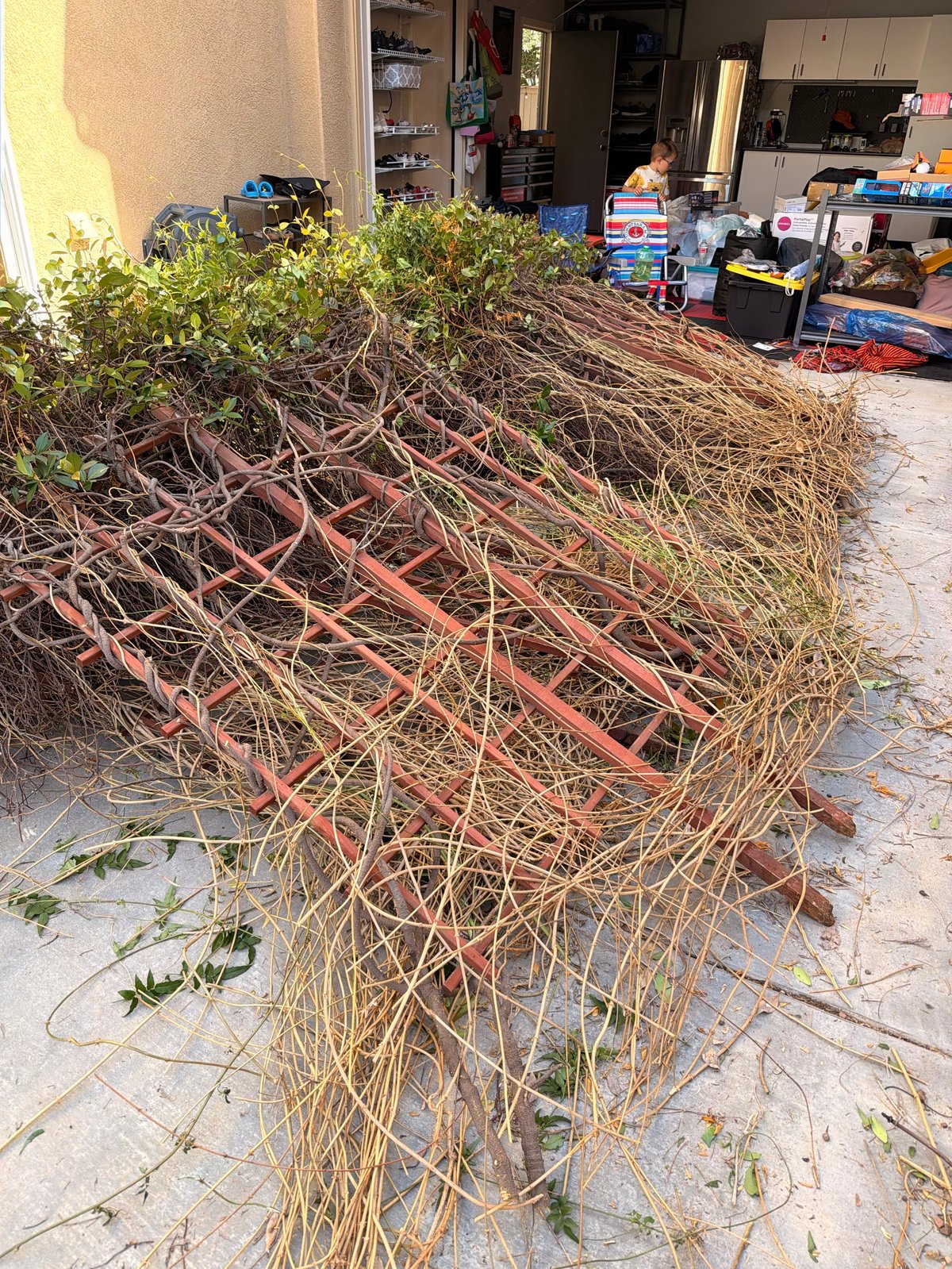 A large pile of dried branches and tangled vines stacked in a driveway in front of a garage filled with stored items